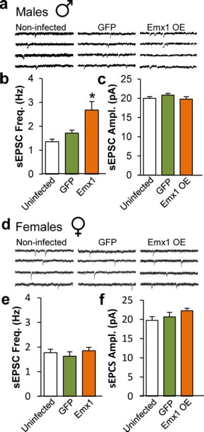 Sex Specific Transcriptional Signatures In Human Depression Pmc