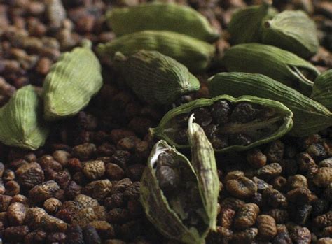 Guatemala número uno en exportación de cardamomo – Prensa Libre