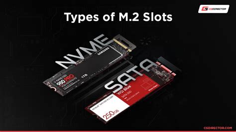 Types of M.2 Drives & Slots (An In-Depth Guide)