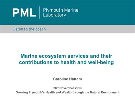 Marine Ecosystem Services Contributions To Well