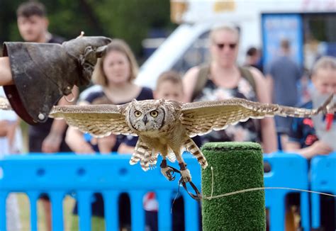 Fun for all at Winnersh fete – Wokingham.Today