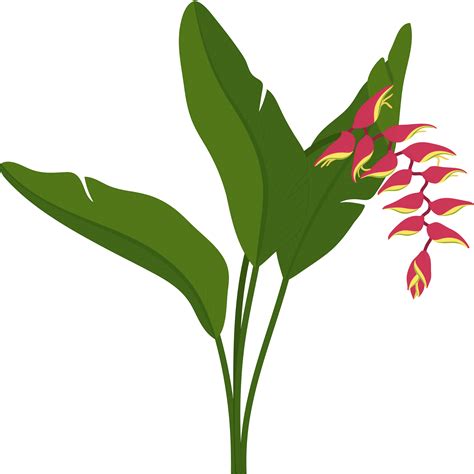 Red Heliconia flower hand drawn illustration. 10171083 PNG
