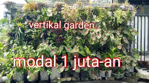 Vertical Garden Sederhana Bikin Sendiri Dengan Biaya Murah Youtube