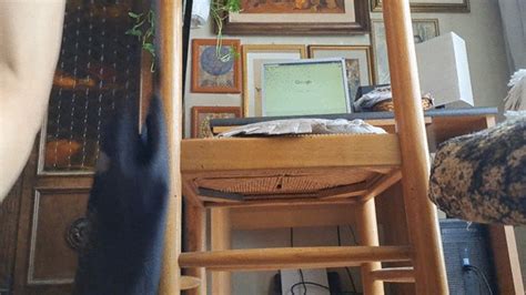 THE ASS SMELLING CUSHION Kinky Grace Clips4sale