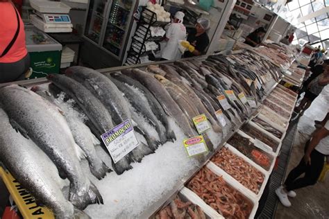 Mercado De Peixes De Santos Espera Aumento De Nas Vendas Na Semana