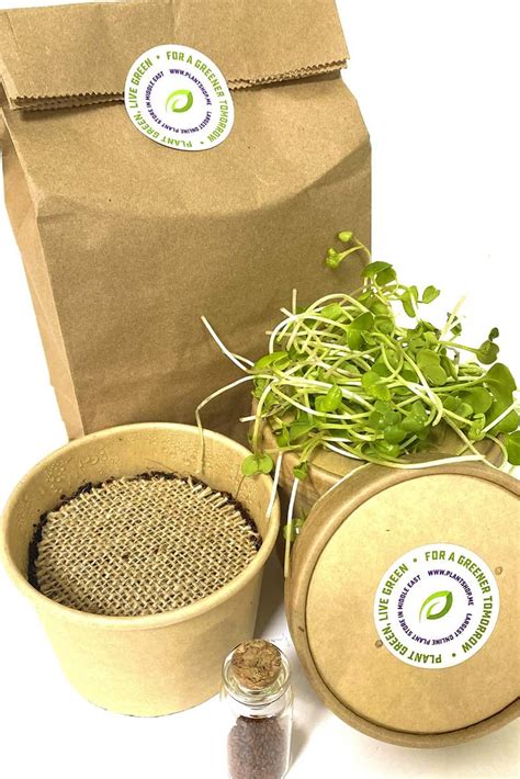 microgreens grow kit grow kits seeds plantshopme