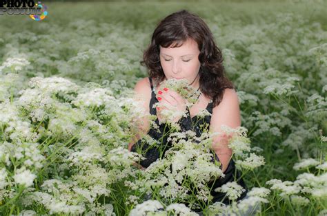 Цветы таволги - 53 фото