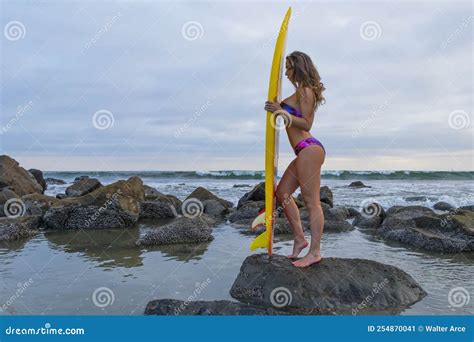 Lovely Brunette Latin Model Poses Outdoors On A Beach At Sunset With Her Surfboard Stock Image