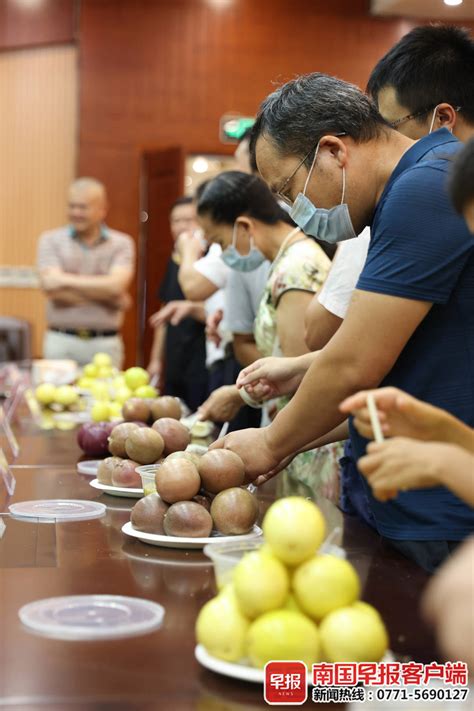 百香果买紫皮还是黄皮？这样选的“果汁之王”最好吃南国早报网 广西主流都市新闻门户