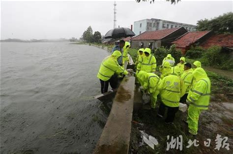 长湖水位暂时回落，新一轮降雨可能恢复涨势 荆楚网 湖北日报网