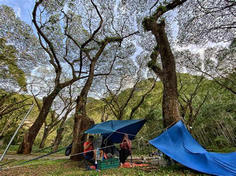 7 Tempat Wajib Bila Travel Ke Perlis Project Vacation