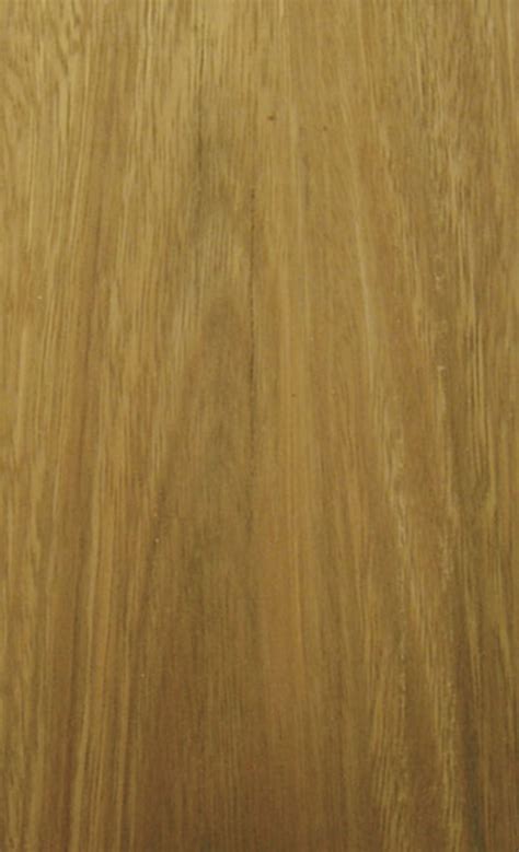 Spotted Gum Floormania