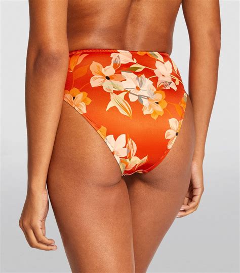 Womens Gottex Orange High Rise Bikini Bottoms Harrods Uk