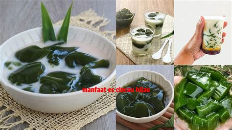 manfaat es cincau hijau  jarang diketahui wajib tahu