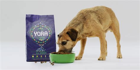 New Yora Dog Food Containing Insects Claims To Be "World's Most ...