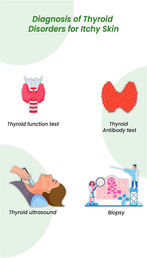 Thyroid And Itchy Skin Find The Link Symptoms And Treatment Options