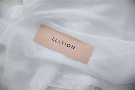 GENESIS Lingerie Set Sheer Nude Mesh Bra Lace High Neck Etsy Australia