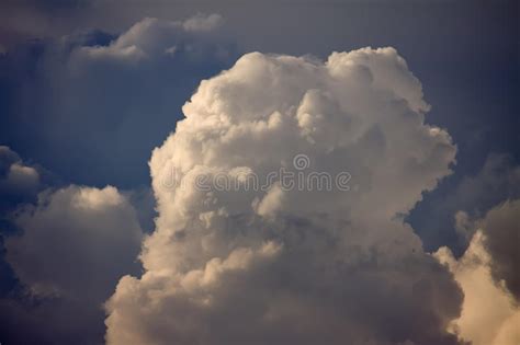 Облако кумулюса облако и солнце неба дня зеленый цвет ветвей никто лето ...