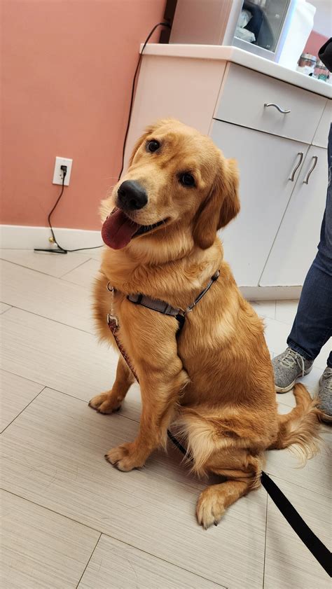 1977 Best Maisie Images On Pholder Celebs With Petite Tits Maisiewilliams And Celebhub