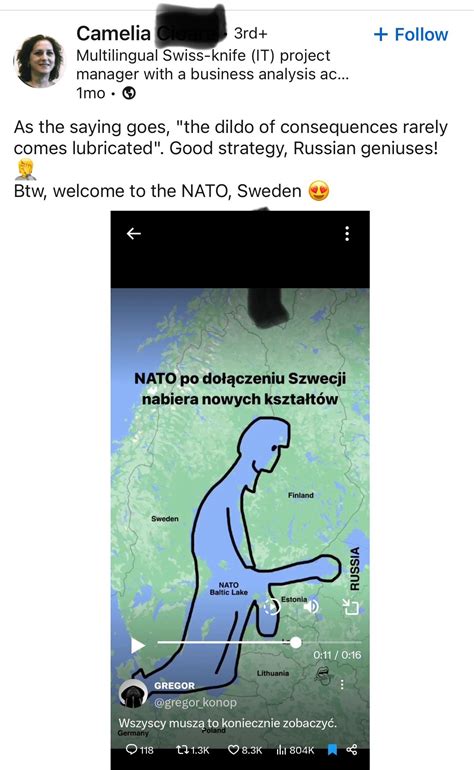 The Dildo Of Consequences R LinkedInLunatics