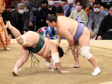 高安、悲願の初優勝へ突き進む 豊昇龍、阿炎、王鵬と並び1敗キープ／九州場所8日目写真特集 大相撲ライブ速報写真ニュース 日刊スポーツ