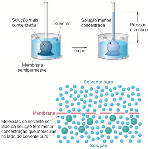 O Que Pressao Osmotica - Equacao De Pressao Osmotica