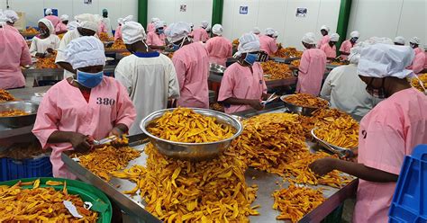 Cutie Mango A Strips Down Naked Flaunts Her Delicious Pussy Small Tits My Xxx Hot Girl