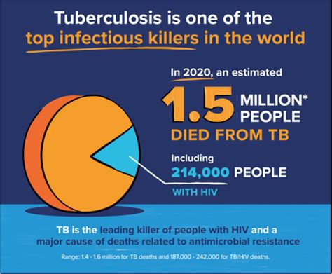 Global Tuberculosis Situation A Reflection On Global Tb Burden