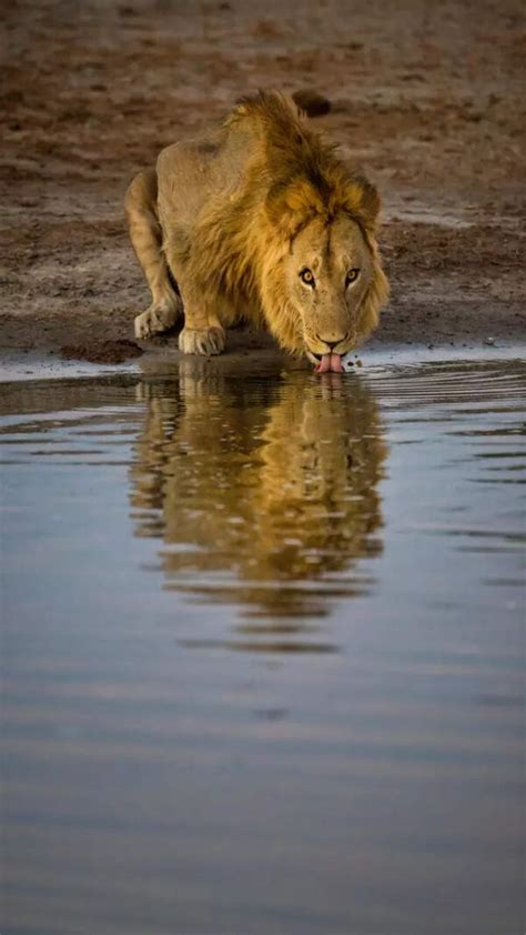 5 Celebs Whose Leaked Sex Tapes Made Them Famous