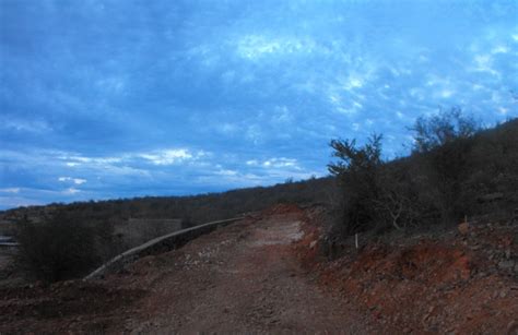 Prolee Losmochis Da Os Ocasionados A Poblaciones De Flora Xerofila Por