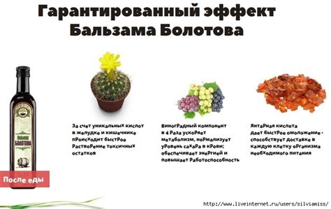 Бальзам Болотова. Обсуждение на LiveInternet - Российский Сервис Онлайн ...