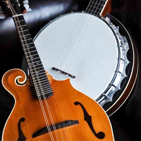 Folk Instruments Roxy Music