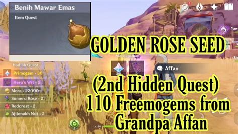 Golden Rose Seeds Hidden Quest Genshin Impact Youtube