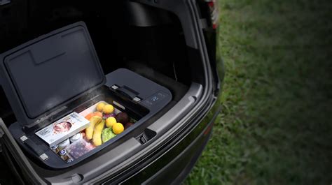 The Tesla Fridge Portable Freezer For Tesla 3yx Trunk Refrigerator