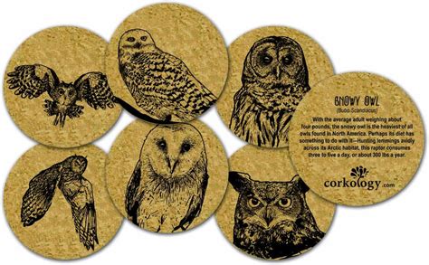 Amazon Corkology Owls Coaster Set Cork Coasters