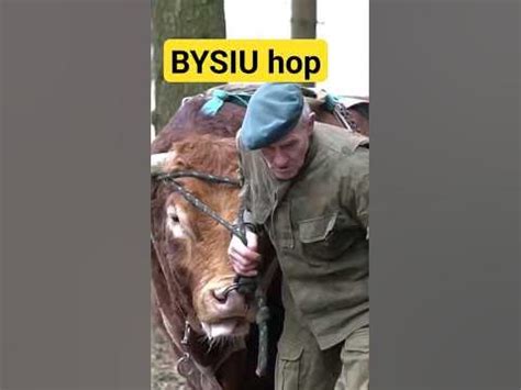 Bysiu? - YouTube