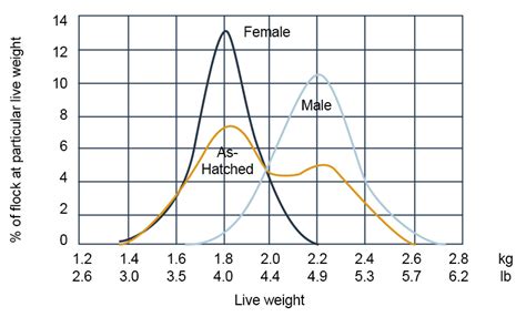 Sex Separate Growing And Sustainability A Perfect Match Agrimprove Agrimprove