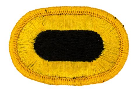 509th Infantry Oval Flying Tigers Surplus
