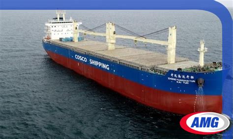 Cosco Shipping Specialized Carriers Invest In 30 Vessels AMG Logistics