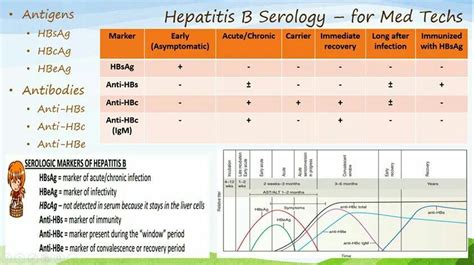 Hepatitis B Serology Chart Ponasa