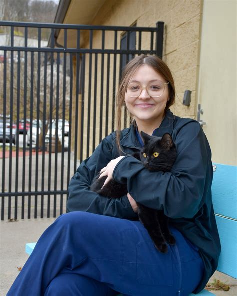 kenton county animal services 5