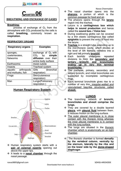 SOLUTION Breathing And Exchange Of Gases Studypool