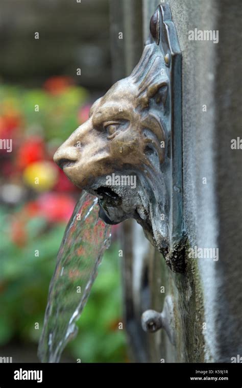 Ornamental Lion Fountain Stock Photo Alamy