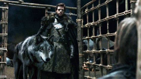 Direwolves Game Of Thrones Wiki