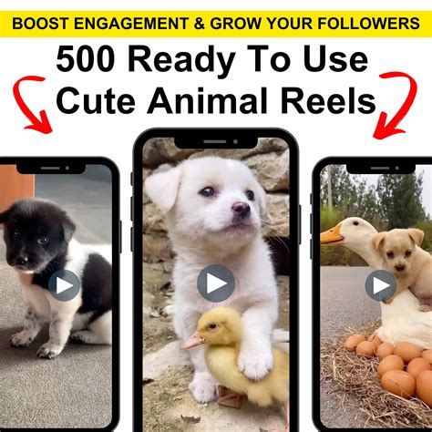 show me funny animal reels like liger reels