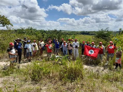 Mst Planta Milh Es De Rvores Em Tr S Anos De Plano Nacional De