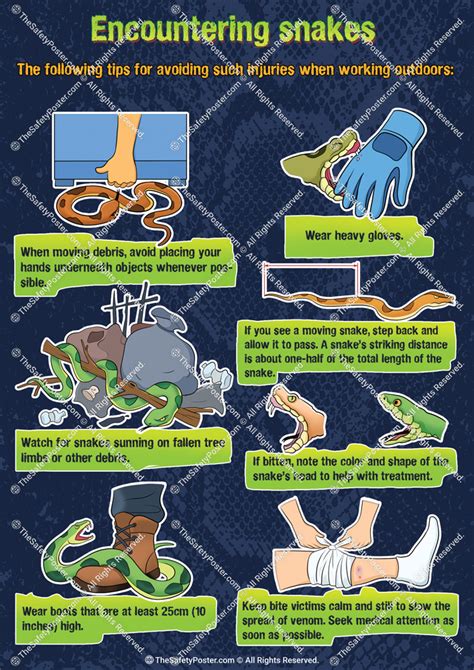 Encountering Snakes Safety Posters Workplace Safety Poster