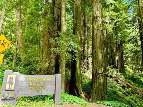 Mark - Landed in Crescent City CA this morning. So excited to spend