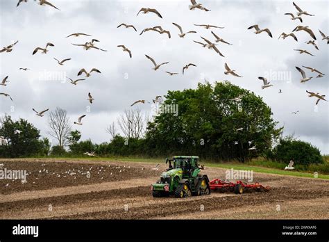 John Deere 8rx Cultivating Stubble Field Brandeston Suffolk Uk Stock