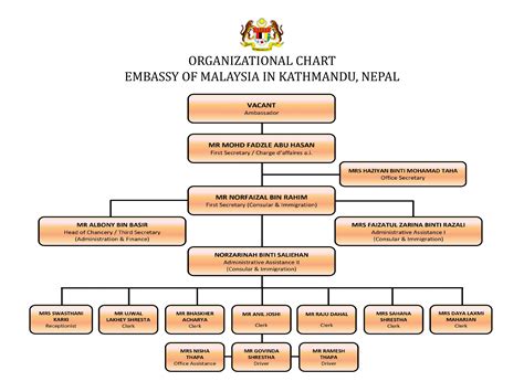 organisational chart portal
